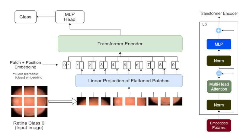 vit architecture